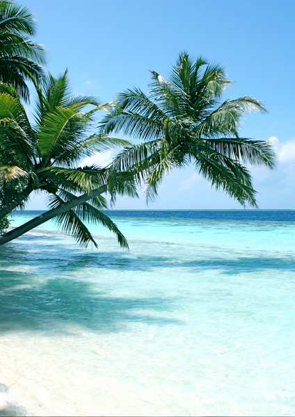 GALAPAGOS Boho Bracelet