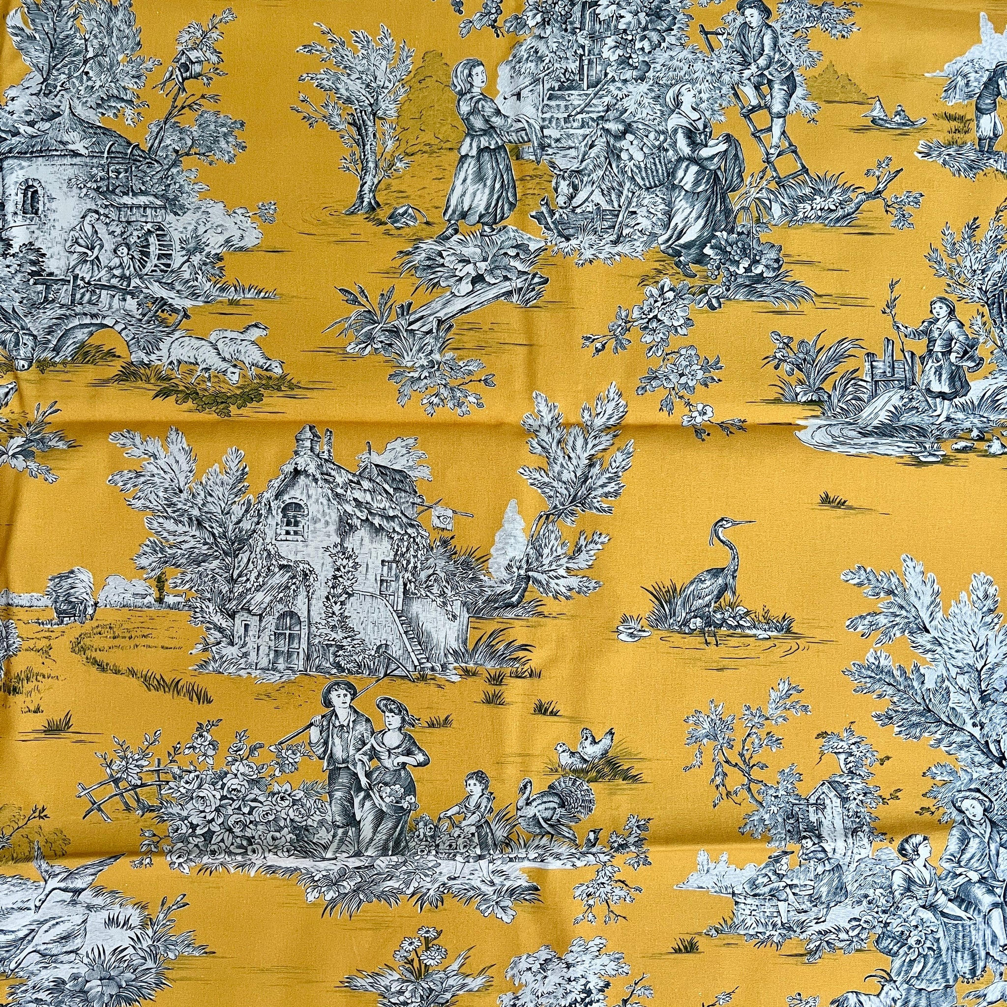 Toile-de-Jouy (französisch für Tuch aus Jouy, benannt nach dem ursprünglichen Herstellungsort Jouy-en-Josas in Frankreich) ist ein Gewebe und kein Gewirk, ein mit einem charakteristischen Dessin bedruckter Kattun, wobei der Druck ursprünglich mittels gravierter Kupferplatten erfolgte
