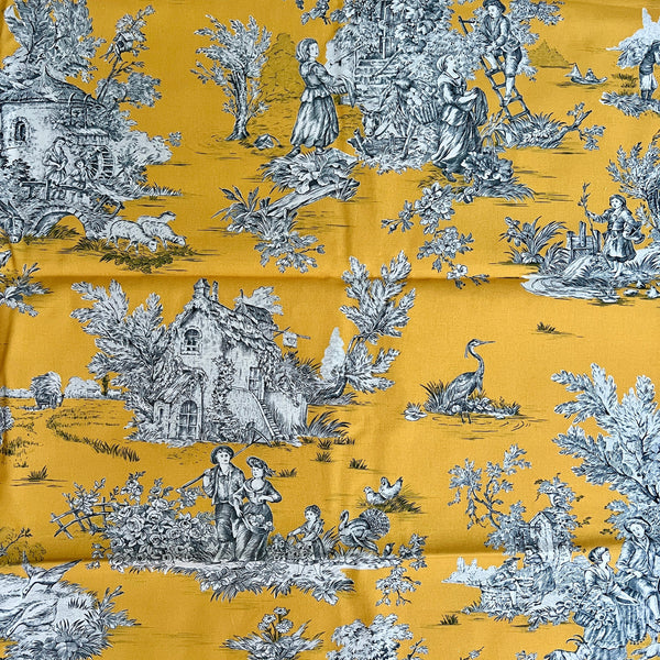 Toile-de-Jouy (französisch für Tuch aus Jouy, benannt nach dem ursprünglichen Herstellungsort Jouy-en-Josas in Frankreich) ist ein Gewebe und kein Gewirk, ein mit einem charakteristischen Dessin bedruckter Kattun, wobei der Druck ursprünglich mittels gravierter Kupferplatten erfolgte